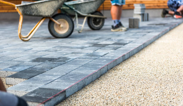 Best Driveway Paving Near Me  in Park River, ND