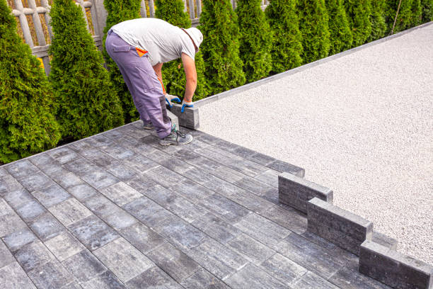 Best Local Driveway Pavers  in Park River, ND