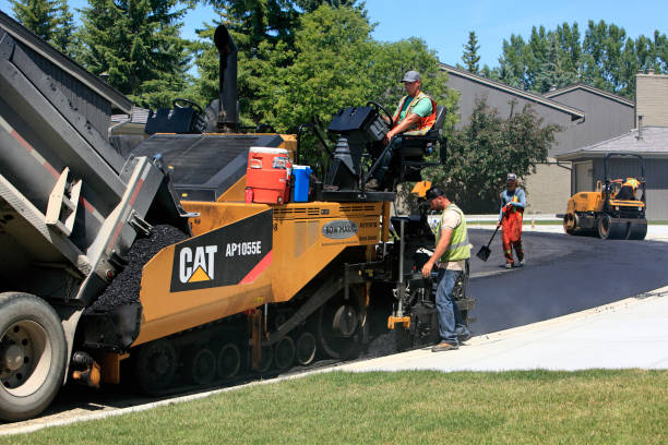 Best Custom Driveway Pavers  in Park River, ND